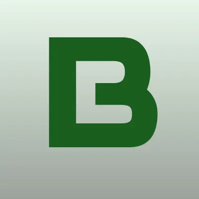БИРСИТИ, служба доставки пиццы, лого-визитка